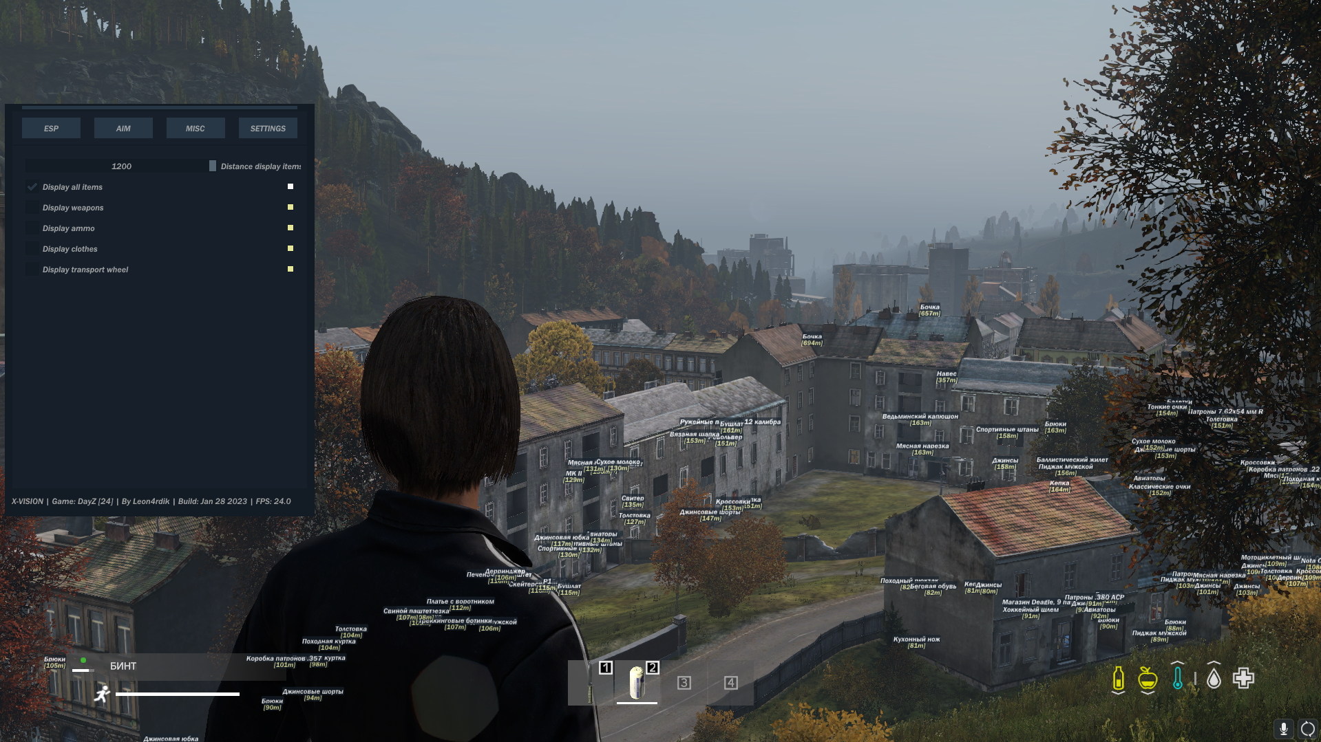 aim-1.png